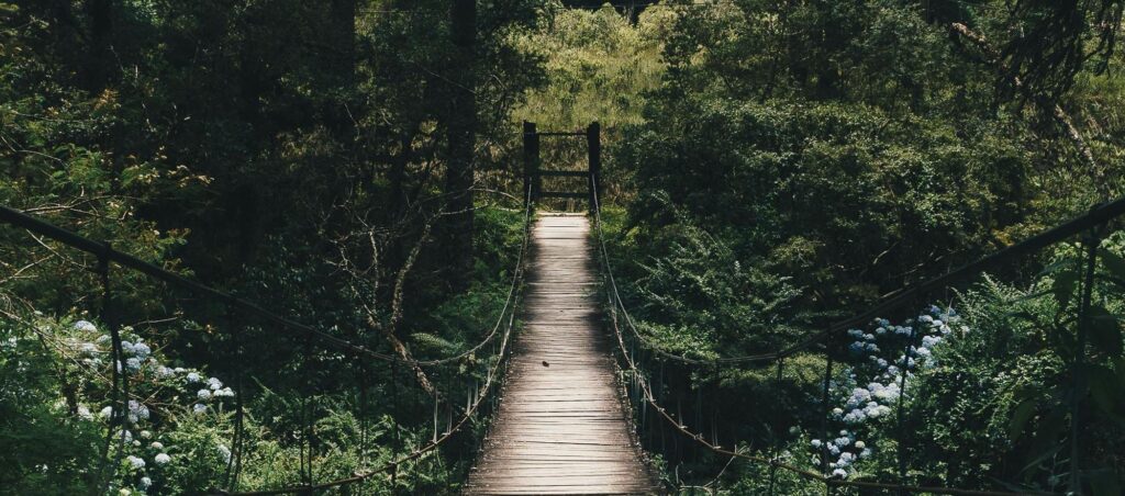 Brücke im Grünen.